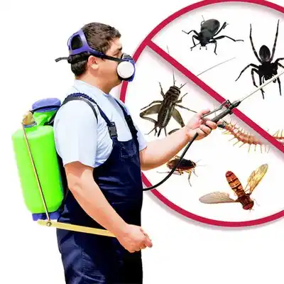 pest control Belpre